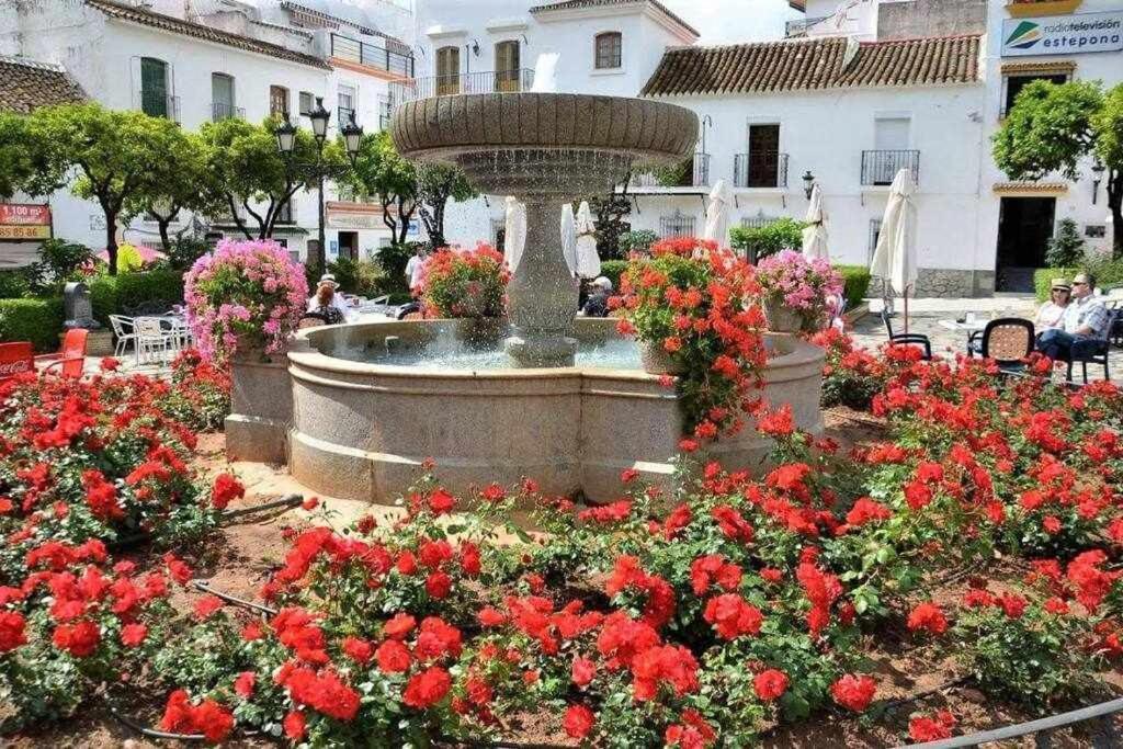 XV Apartamentos Morales & Arnal Estepona Bagian luar foto